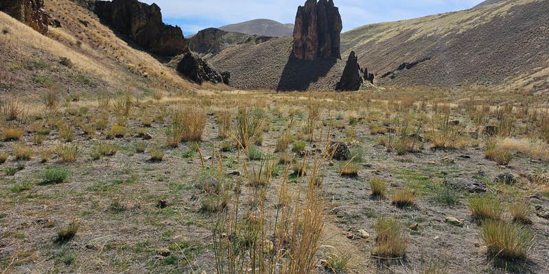 Camper submitted image from Slocum Creek (Leslie Gulch) Campground