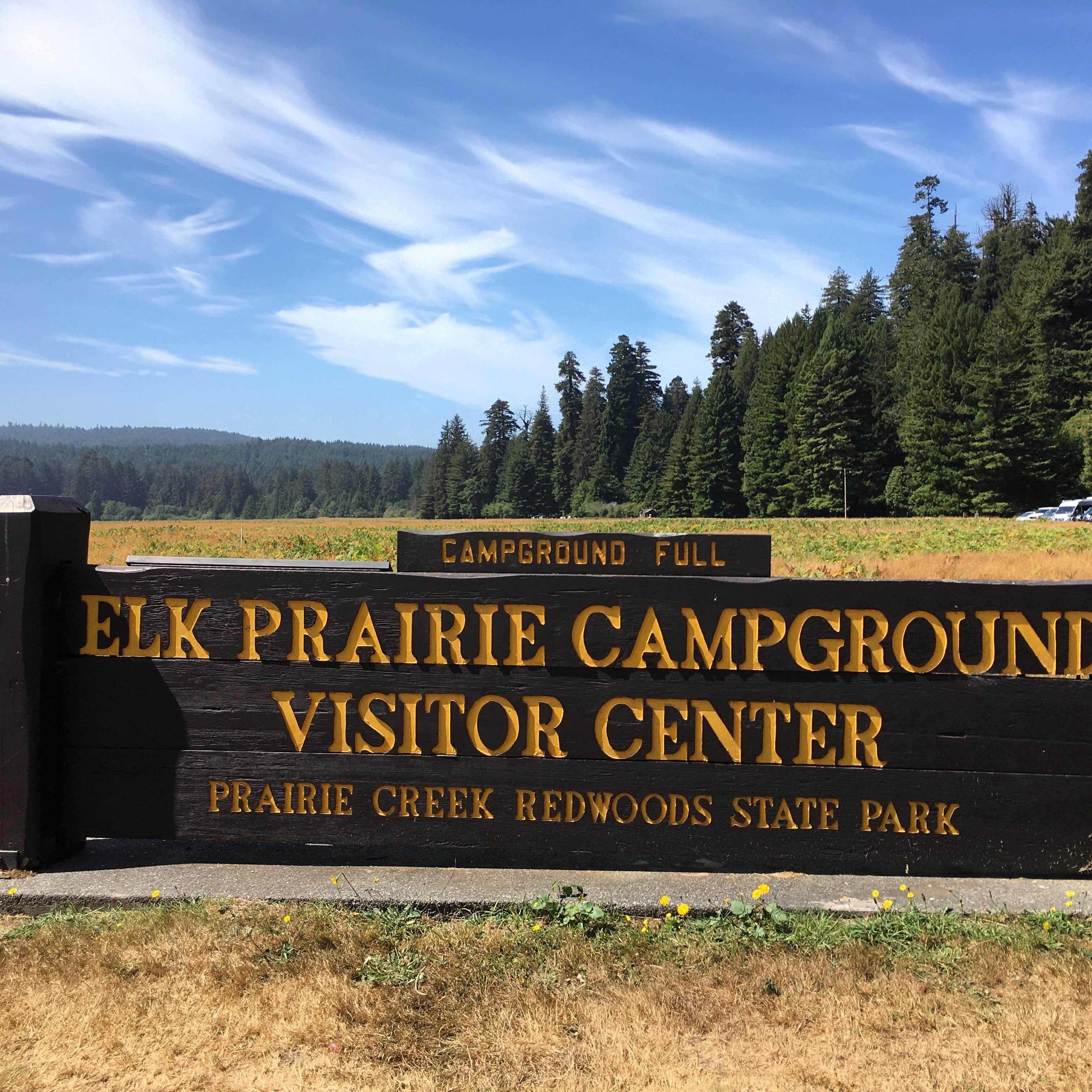 Elk Prairie Campground — Prairie Creek Redwoods State Park