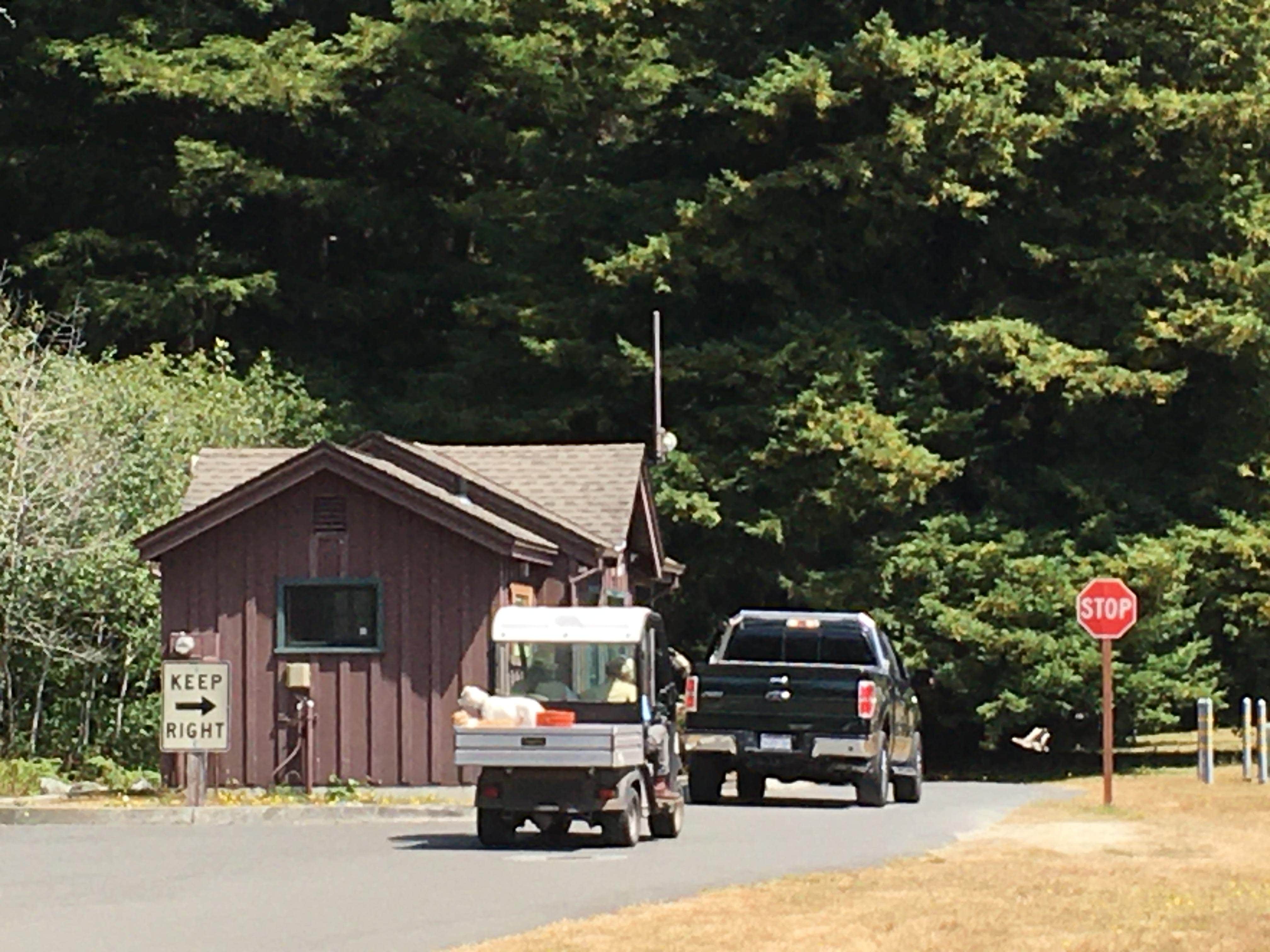 Camper submitted image from Elk Prairie Campground — Redwood National And State Parks - 2