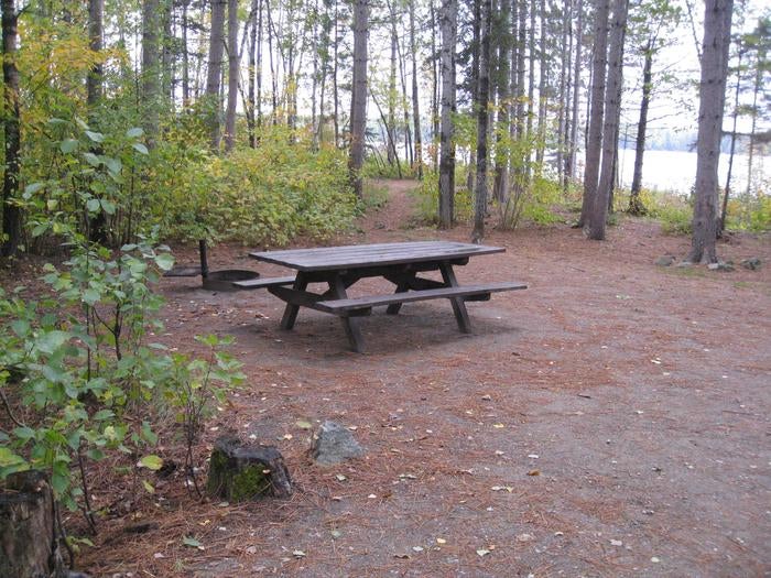 Camper submitted image from Birch Lake Campground & Backcountry Sites - 1