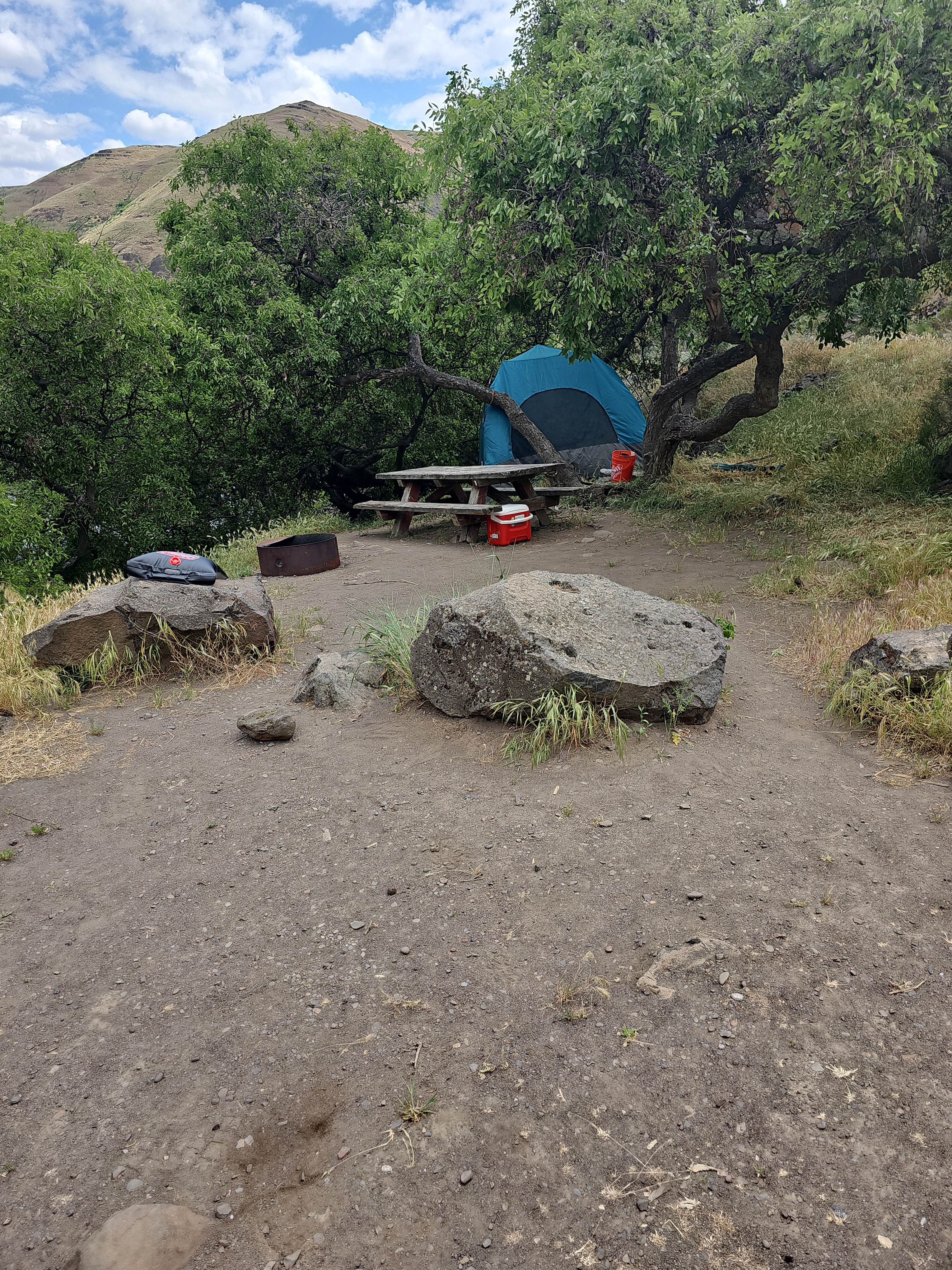 The Dyrt's photo at Twin Springs Campground- Deschutes River near Moro, OR