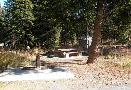 Camper submitted image from Caribou National Forest Emigration Campground - 1