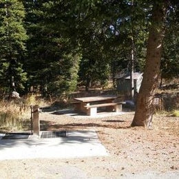 Public Campgrounds: Caribou National Forest Emigration Campground