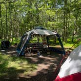 Review photo of Big Meadows Campground — Shenandoah National Park by Martin T., July 9, 2024