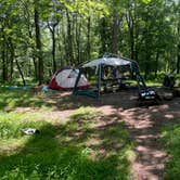 Review photo of Big Meadows Campground — Shenandoah National Park by Martin T., July 9, 2024