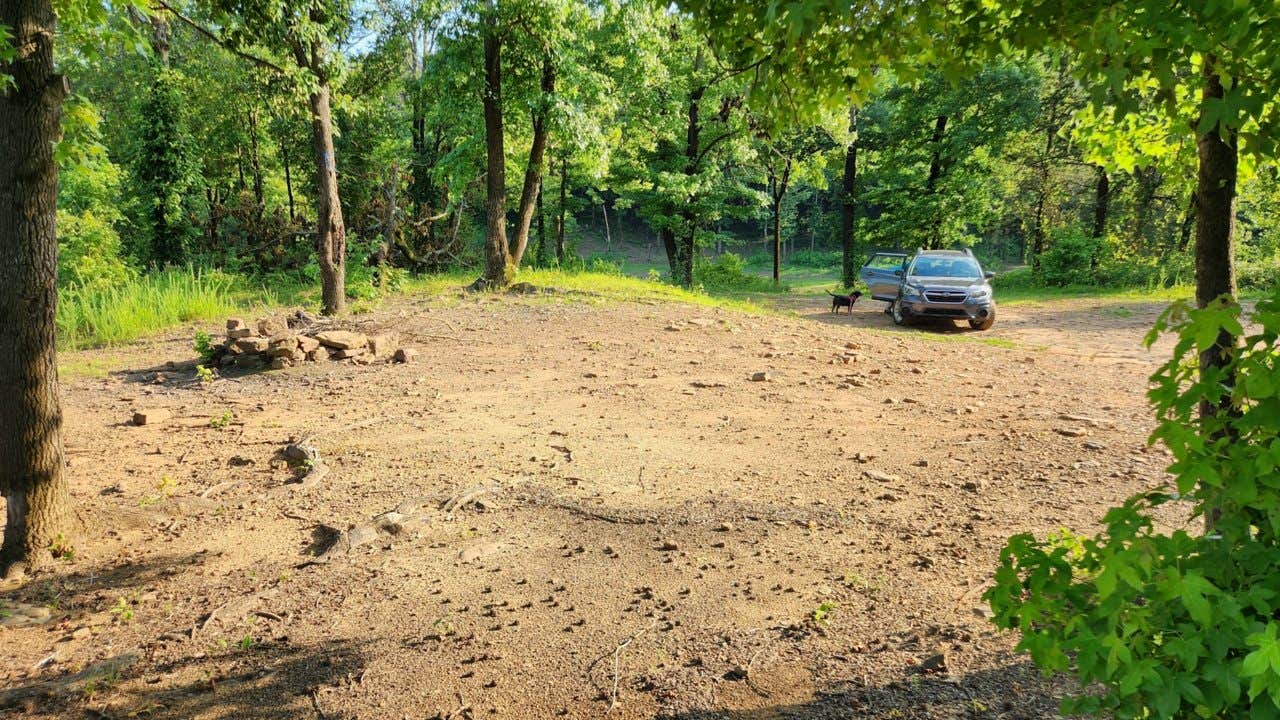 Camper submitted image from Brock Creek Lake View Dispersed, Ozark NF, AR - 1