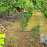 Review photo of Brock Creek Lake View Dispersed, Ozark NF, AR by Fred S., July 9, 2024