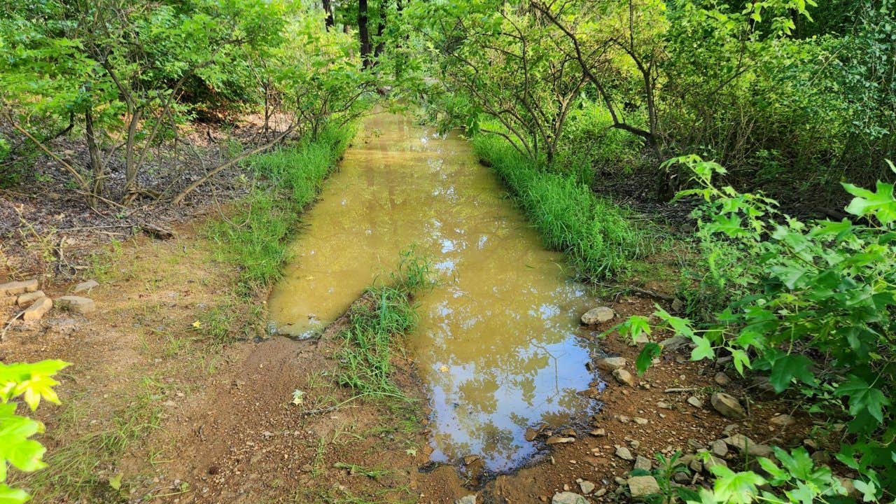 Camper submitted image from Brock Creek Lake View Dispersed, Ozark NF, AR - 4