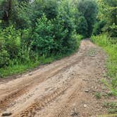 Review photo of Brock Creek Lake View Dispersed, Ozark NF, AR by Fred S., July 9, 2024