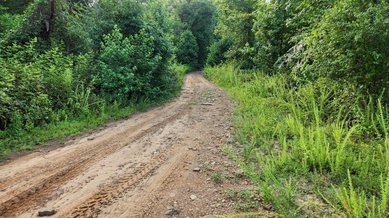 Camper submitted image from Brock Creek Lake View Dispersed, Ozark NF, AR - 3