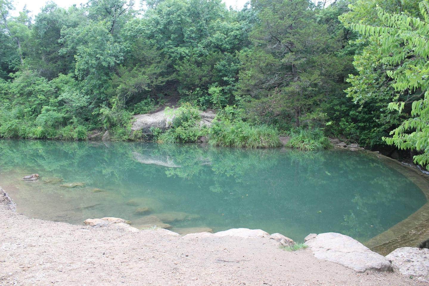 View All