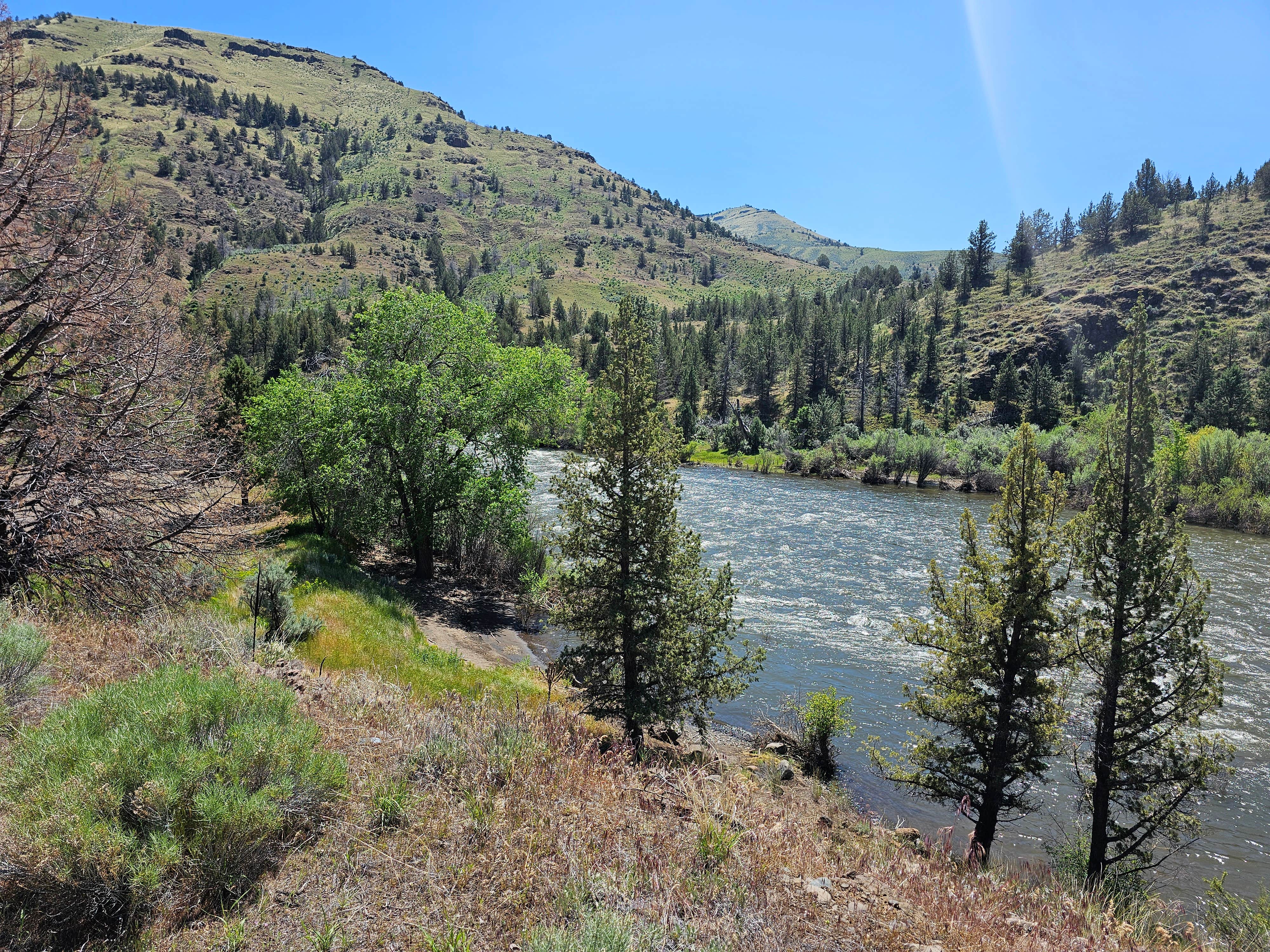 Camper submitted image from Lone Pine Campground - 2