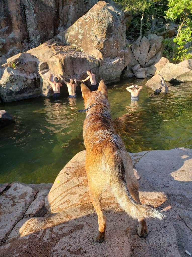 Daniel's photo of camping with pets at Lake Perry Campground near Park Hills, MO