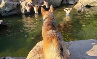 Daniel's photo of camping with pets at Lake Perry Campground near Perryville, MO