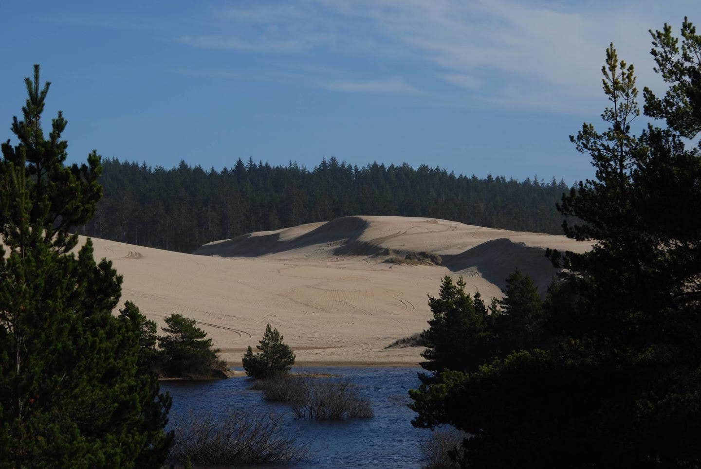 Camper-submitted photo at Siuslaw National Forest Spinreel Sand Camping near Coos Bay, OR
