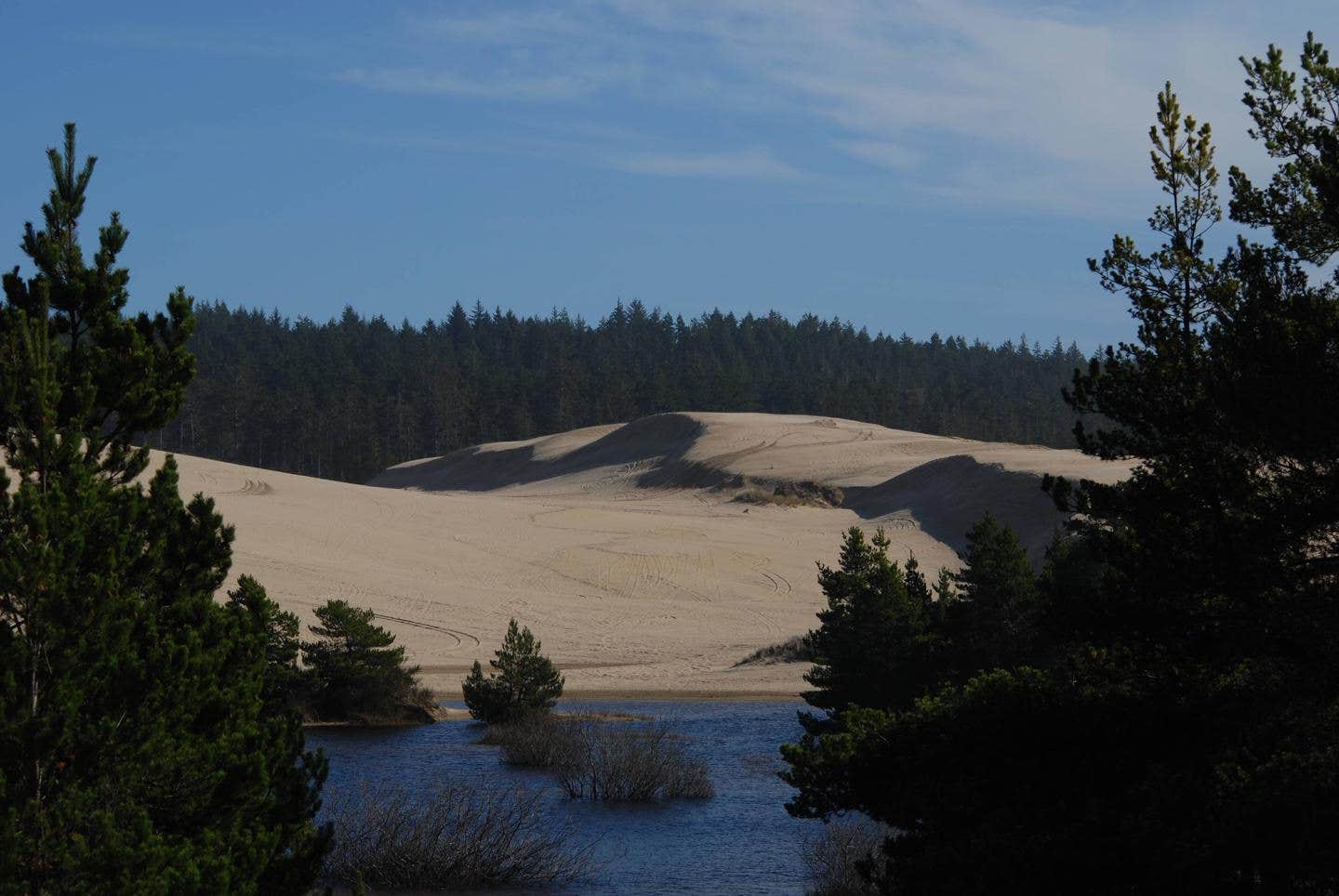 Camper submitted image from Siuslaw National Forest Spinreel Sand Camping - 2