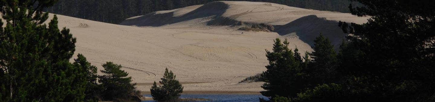 Camper-submitted photo at Siuslaw National Forest Spinreel Sand Camping near Coos Bay, OR