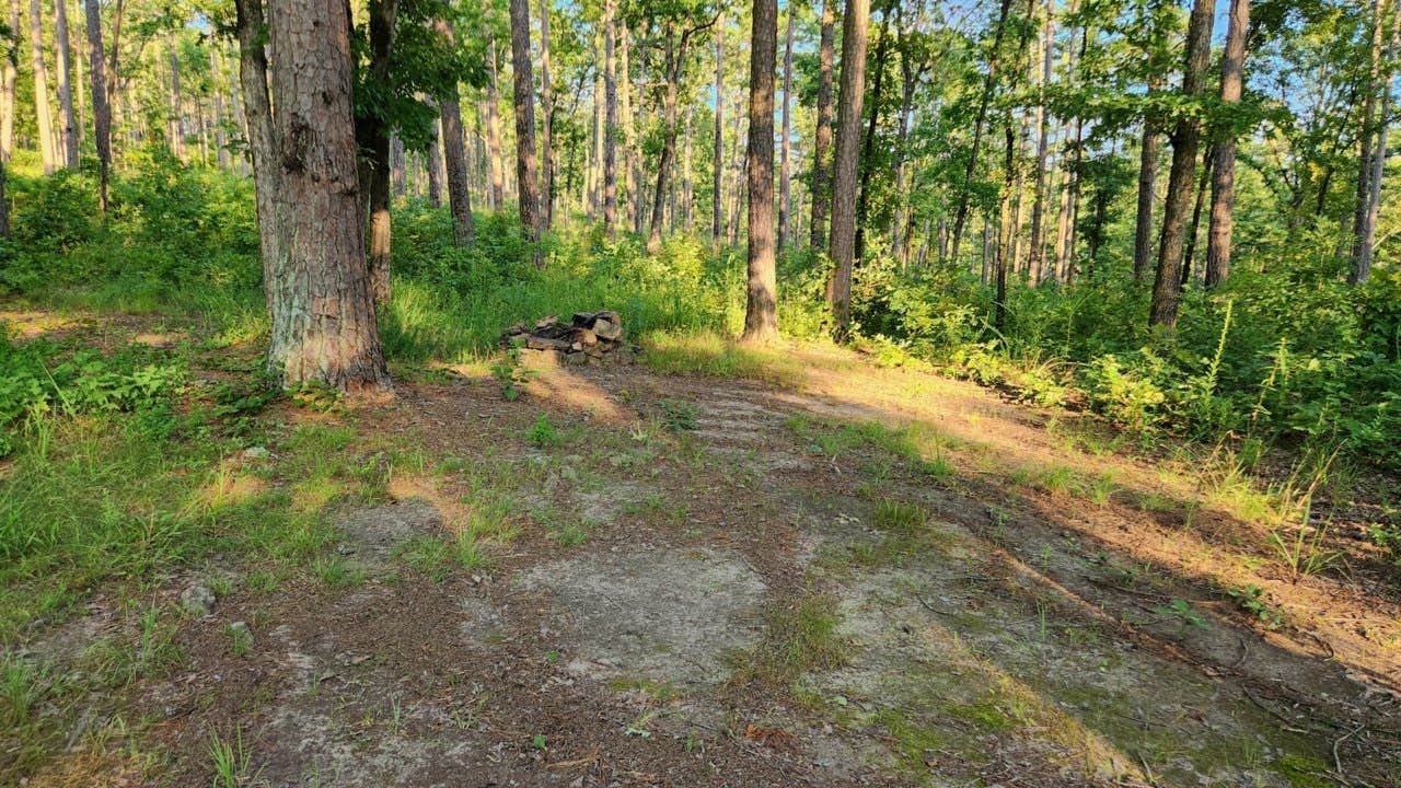 Camper submitted image from Tackett Mountain Road Dispersed, Ozark NF, AR - 4