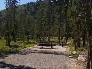 Camper submitted image from Sunny Gulch Campground - 2