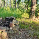 Review photo of Tackett Mountain Road Dispersed, Ozark NF, AR by Fred S., July 10, 2024