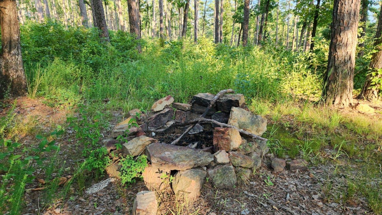 Camper submitted image from Tackett Mountain Road Dispersed, Ozark NF, AR - 3