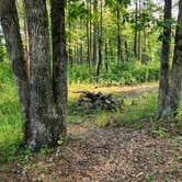 Review photo of Tackett Mountain Road Dispersed, Ozark NF, AR by Fred S., July 10, 2024