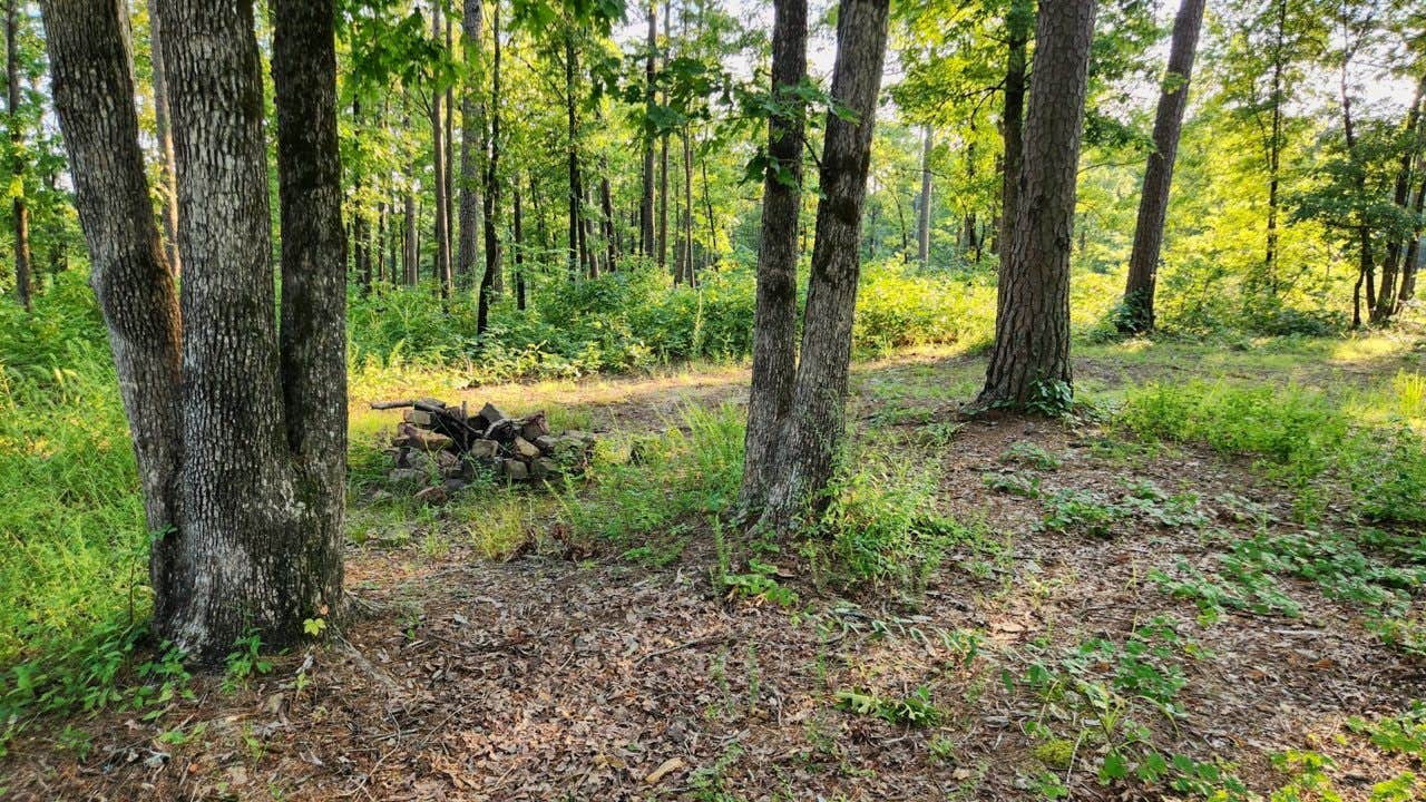 Camper submitted image from Tackett Mountain Road Dispersed, Ozark NF, AR - 2