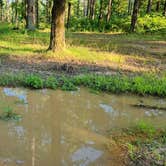 Review photo of Tackett Mountain Road Dispersed, Ozark NF, AR by Fred S., July 10, 2024