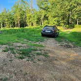 Review photo of Tackett Mountain Road Dispersed, Ozark NF, AR by Fred S., July 10, 2024