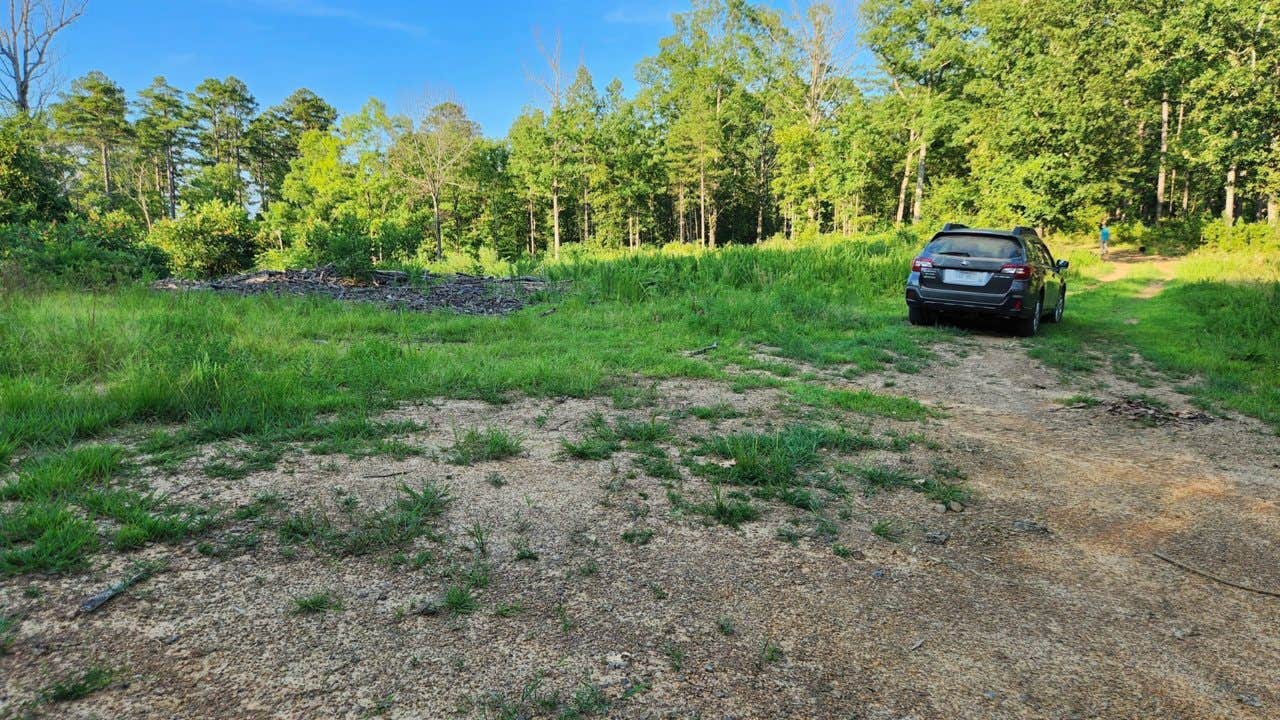 Camper submitted image from Tackett Mountain Road Dispersed, Ozark NF, AR - 1