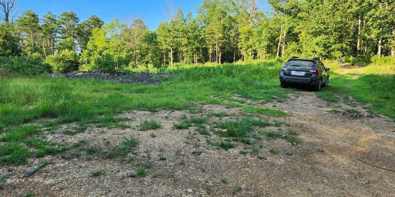 Camper submitted image from Tackett Mountain Road Dispersed, Ozark NF, AR
