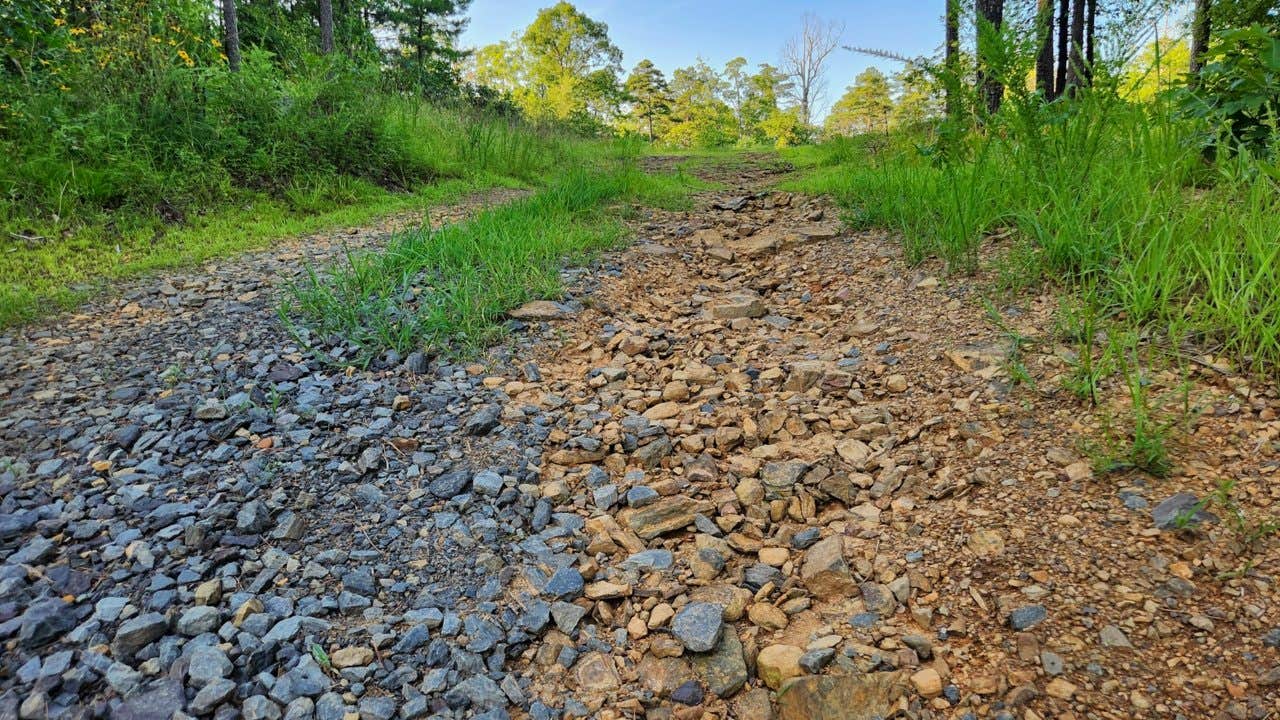 Camper-submitted photo at Tackett Mountain Road Dispersed, Ozark NF, AR near Cleveland, AR