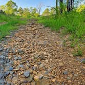 Review photo of Tackett Mountain Road Dispersed, Ozark NF, AR by Fred S., July 10, 2024