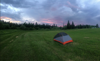 Susan S.'s photo at Socks Family Farm near Lyndonville, VT