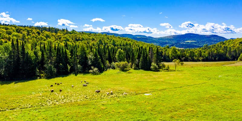 Camper submitted image from Socks Family Farm