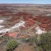 Review photo of Holbrook/Petrified Forest KOA by Patrick J., July 11, 2024