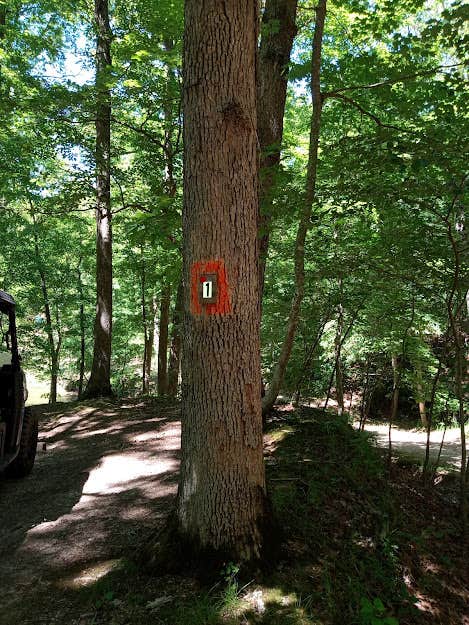 Camper-submitted photo at DnD Campground Lakeside near Kaiser, MO