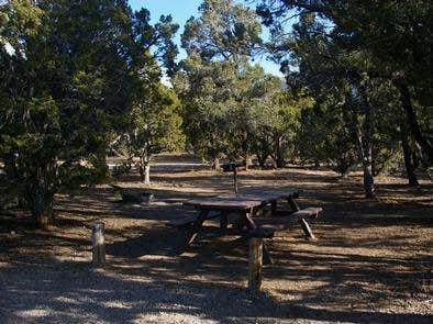 Camper submitted image from Ward Mtn. Campground (murray Summit) - 2