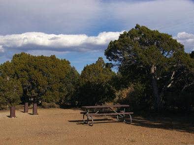 Camper submitted image from Ward Mtn. Campground (murray Summit) - 4