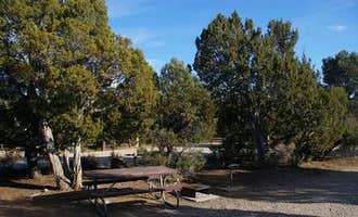 Camping near Silver Sage Travel Center: Ward Mtn. Campground (murray Summit), Ruth, Nevada
