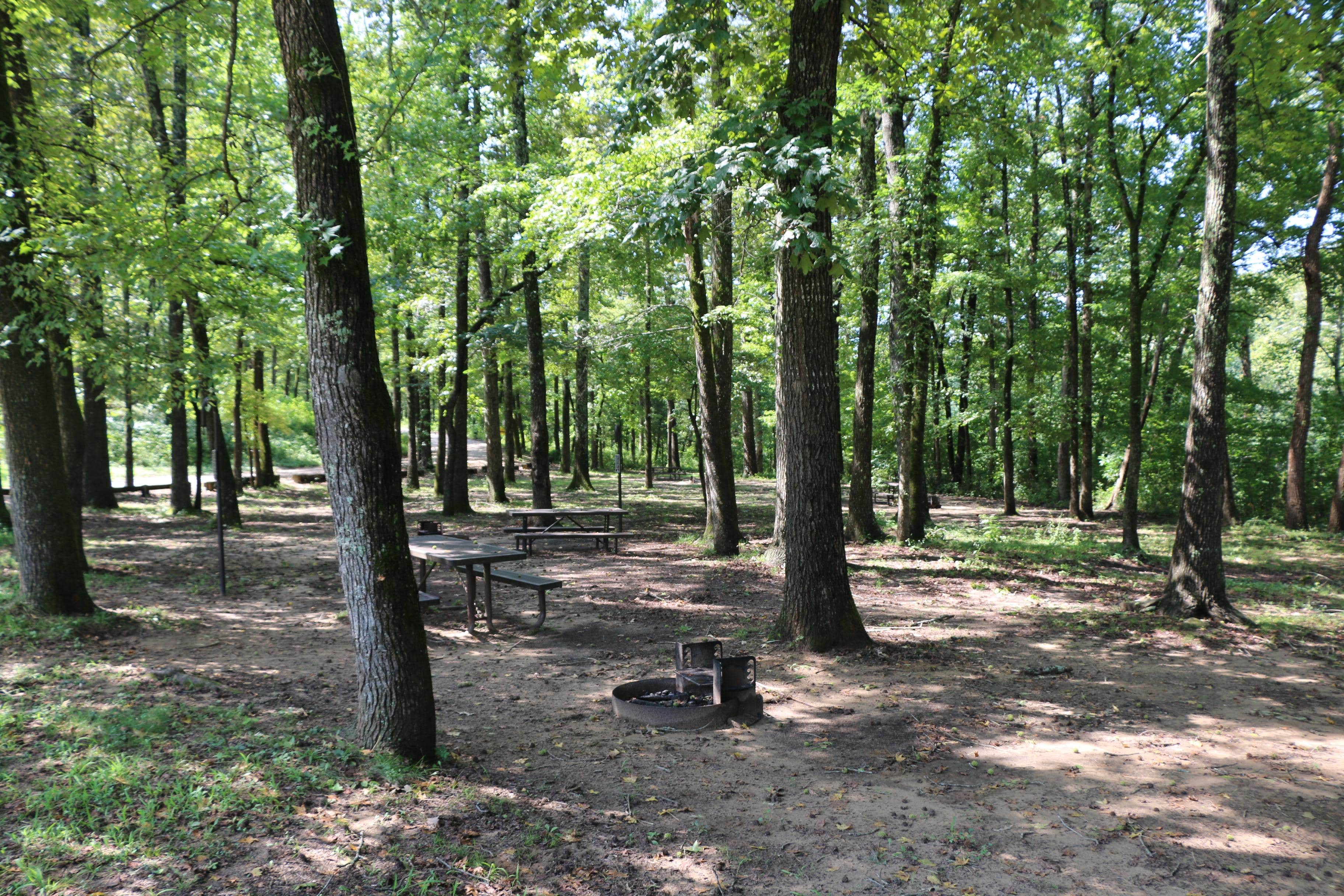 Camper submitted image from Ozark Campground — Buffalo National River - 1