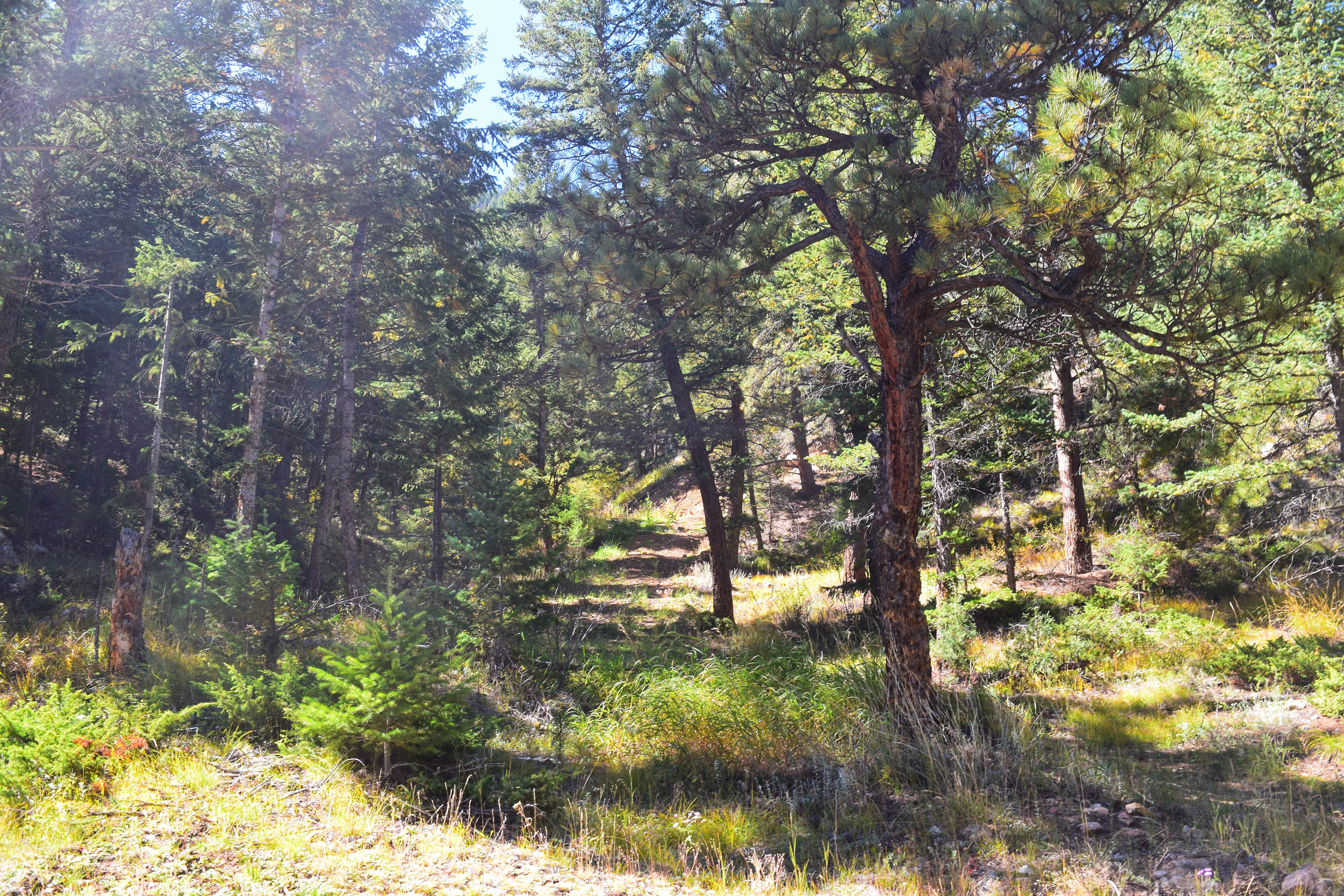 Breckenridge photo 4