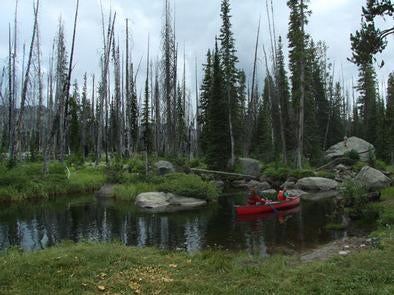 Camper submitted image from Hazard Lake Campground - 4