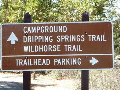 Camper submitted image from Dripping Springs Campground - 1