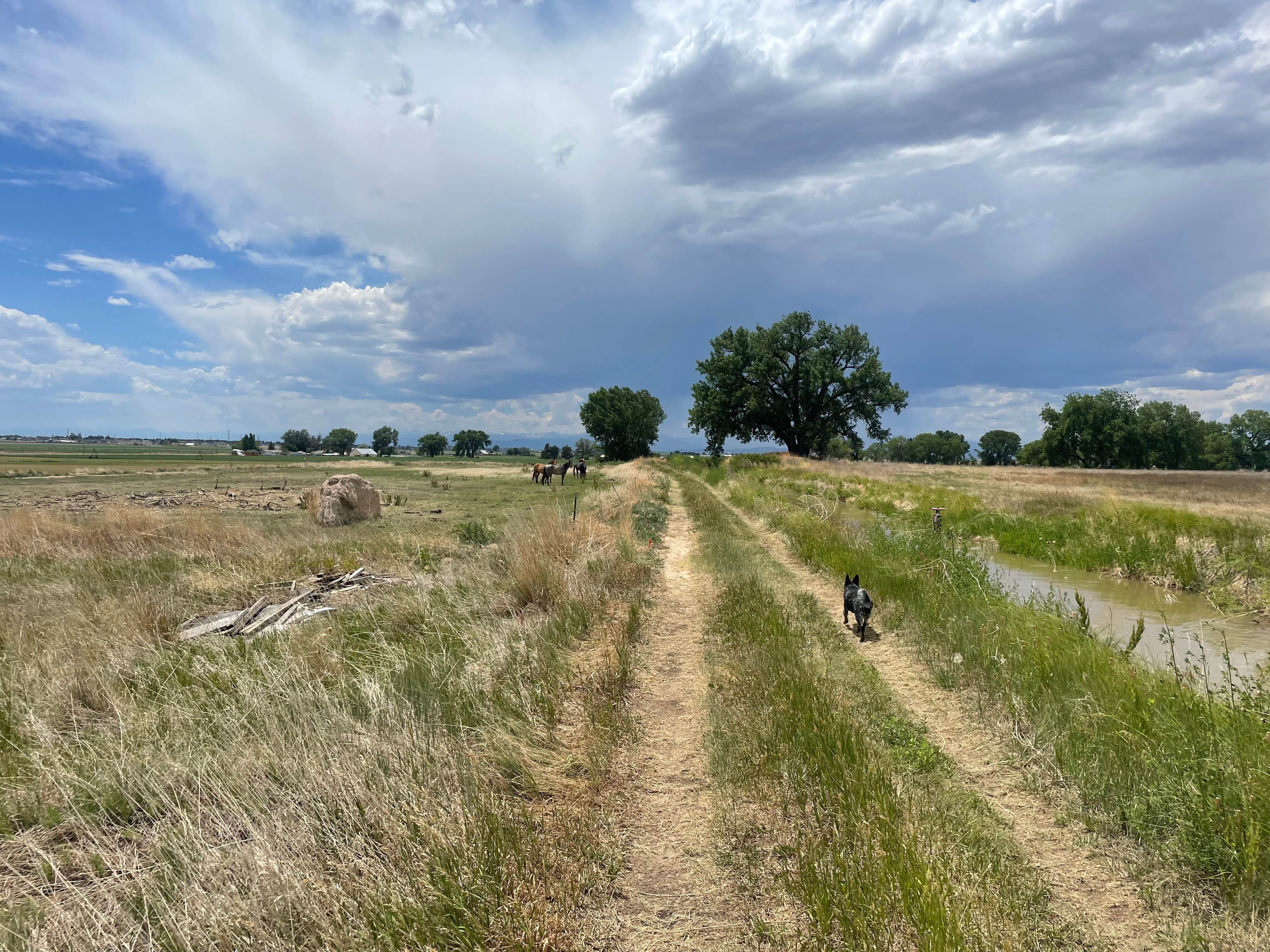 Josh U.'s photo of camping with pets at Usery Farms near Ault, CO