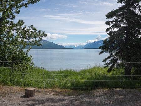 Camper-submitted photo at Brooks Camp Campground — Katmai Bay National Park in Alaska