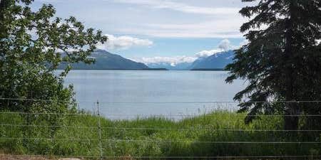 Camper submitted image from Brooks Camp Campground — Katmai Bay National Park