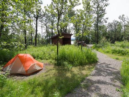 The Dyrt's photo of tent camping at Brooks Camp Campground — Katmai Bay National Park in Alaska