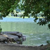 Review photo of Riverfront Campground by RiverFront Fish Camp , July 12, 2024