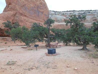 Camper submitted image from Windwhistle Group Site - 5